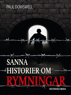 cover image of Sanna historier om rymningar